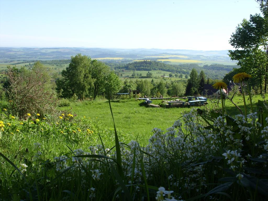 Вилла Dom Panorama Pod Gwiazdami Kopaniec Номер фото